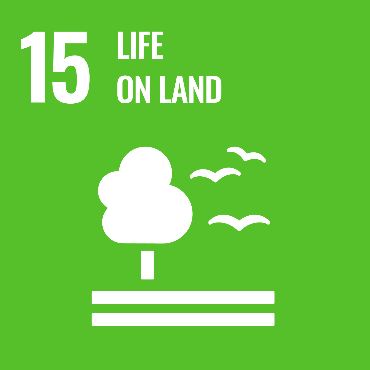 SDG Goal icon for Life on Landn.