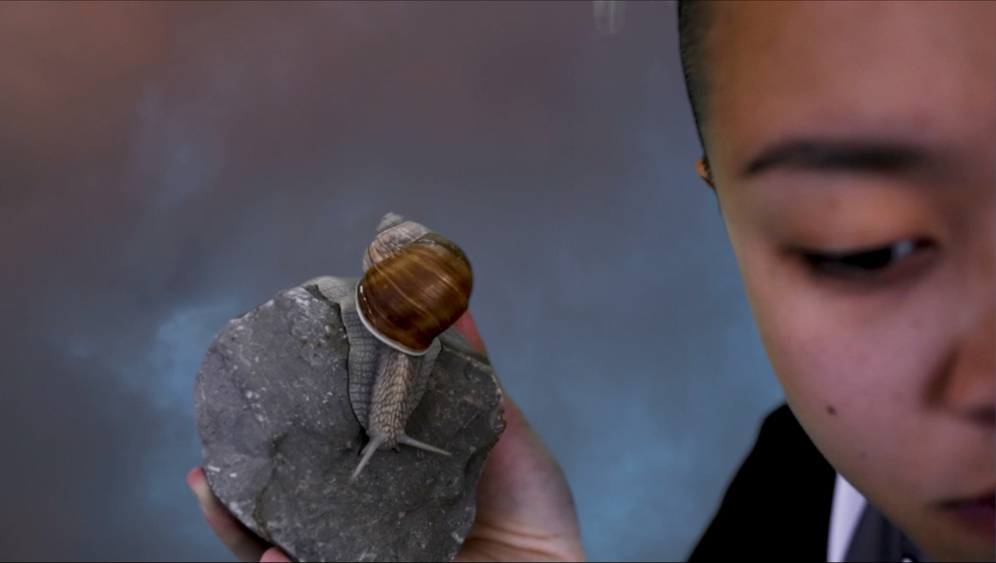 3. Half of a Chinese person’s face leans into the frame, bringing a chunk of gray rock in their hand towards their ear, on which crawls a large brown snail. Behind them, blue and pink clouds of sky.