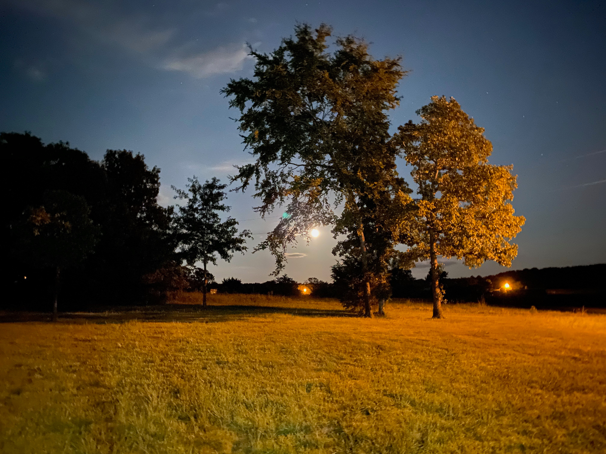 Bright white full moon in a blue gray sky with pinprick stars and a few near-glowing clouds, a grove of trees, with two taller trees nearby, green grass in the foreground and lights from three distant houses in the background.