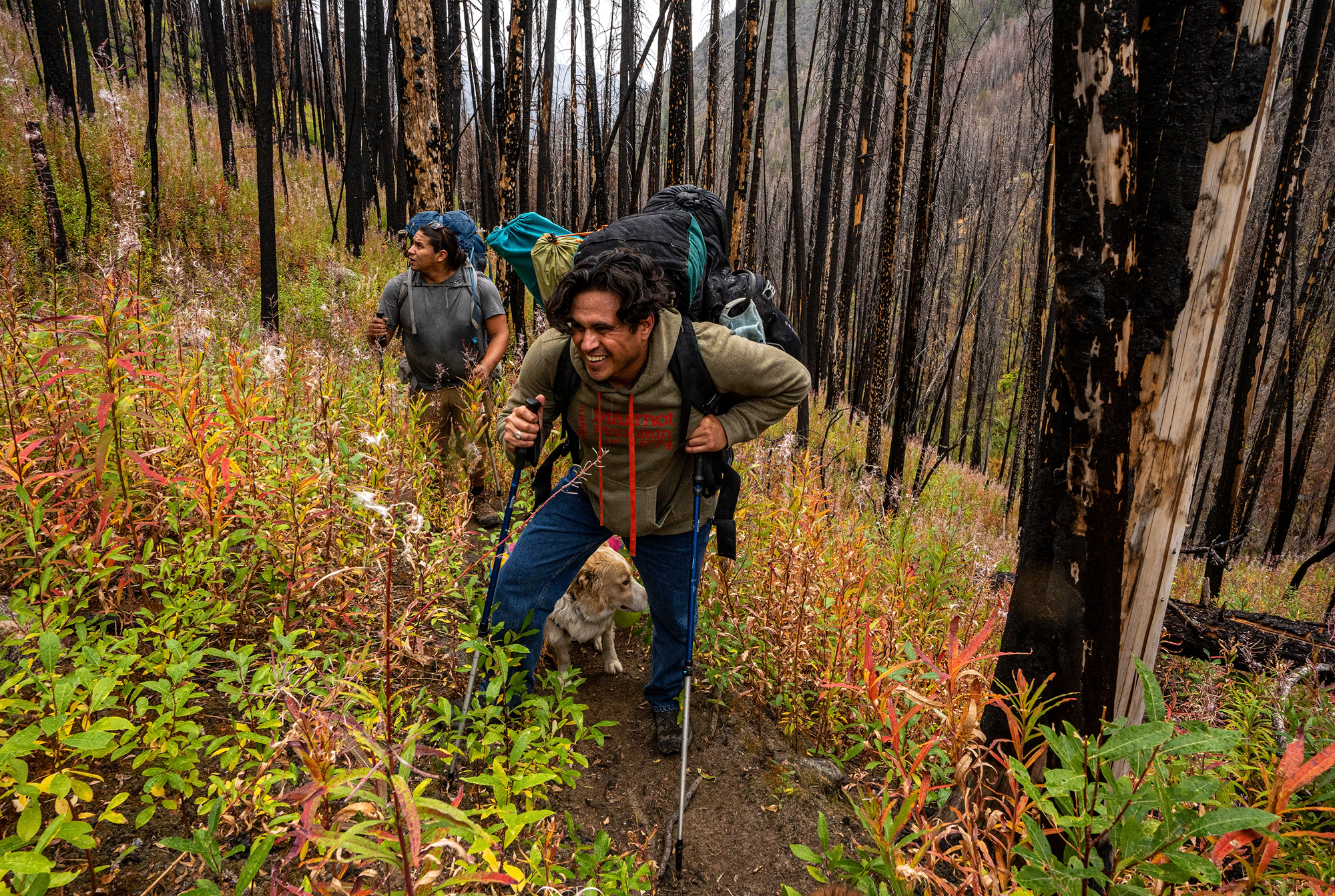 Indigenous backpackers climb through burned forest in the North Cascades Mountains.