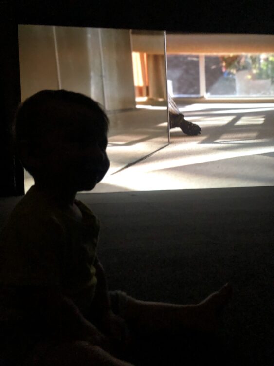 A child looking at an art installation.