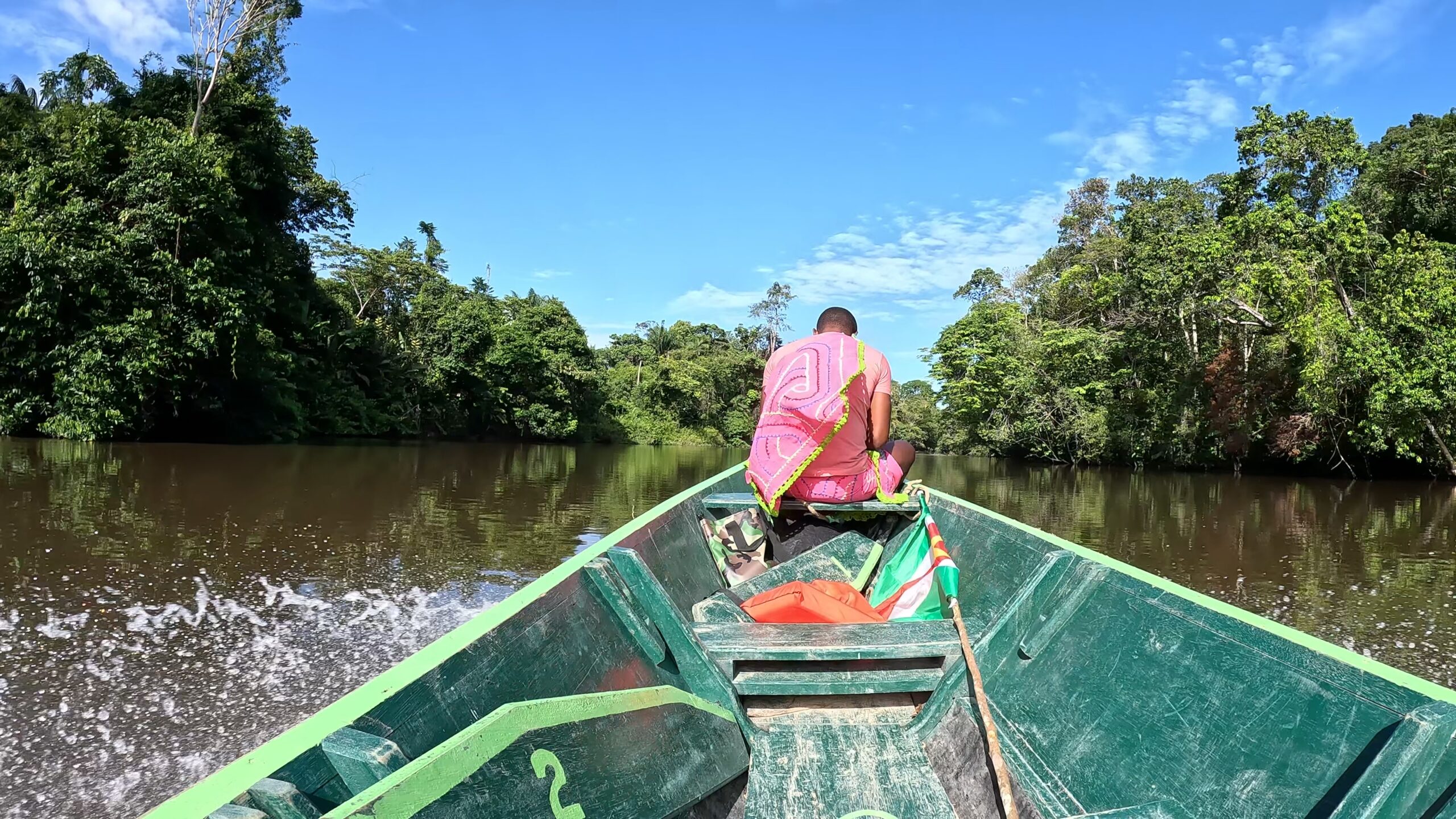 Saramacca region, Amazon River, Suriname. Photo by Etienne Charles.