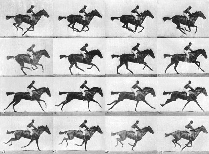 Eadweard Muybridge, Horses. Gallop;  thoroughbred bay mare (Annie G) with male rider, from “Animal locomotion. An electro-photographic investigation of consecutive phases of animal movements”, 1872-1875.