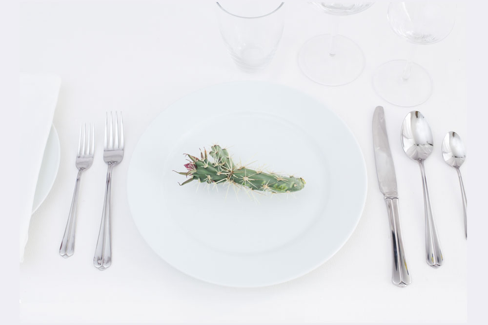 The Desertification Cookbook