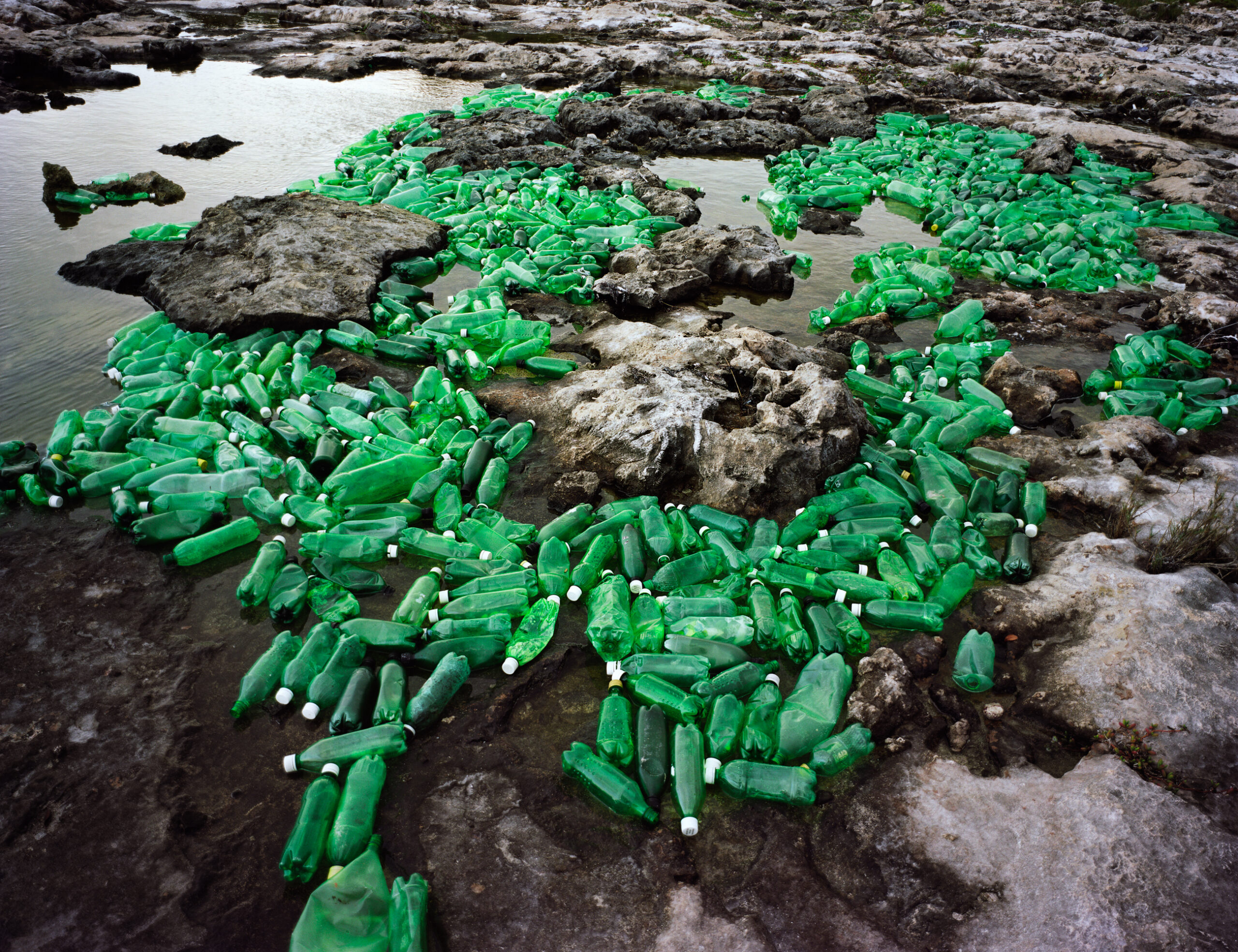 Washed Up: Transforming a Trashed Landscape
