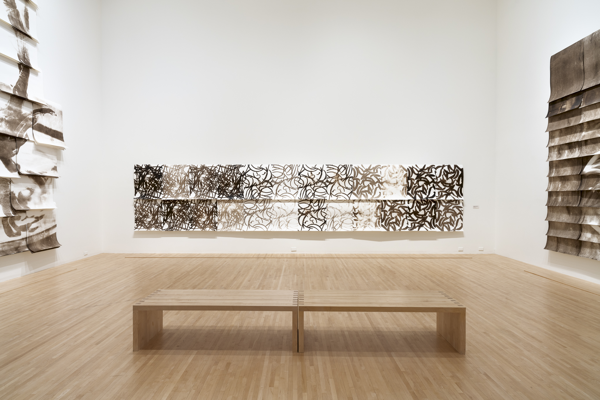 Lucy Kim: Mutant Optics [Installation view, Henry Art Gallery, University of Washington, Seattle. 2024]. Photo: Jueqian Fang.