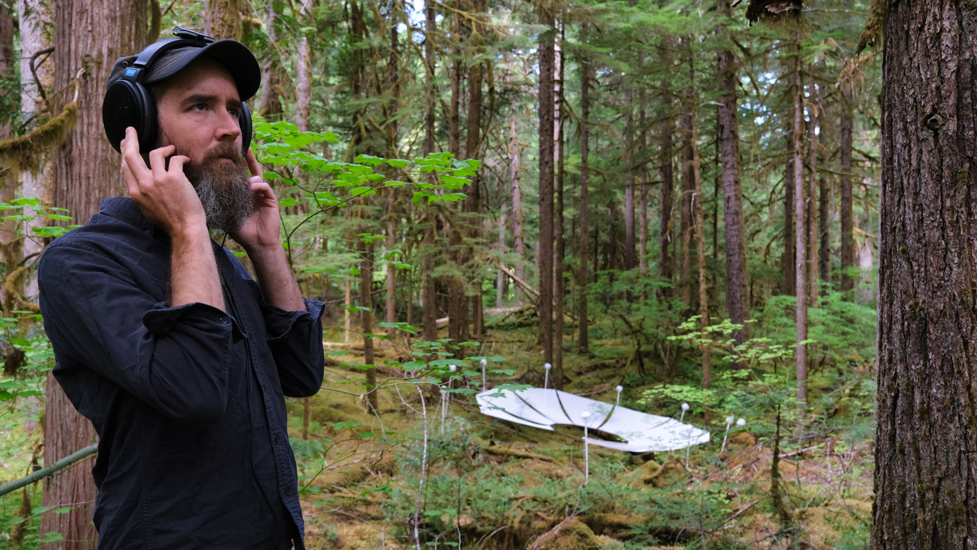 A forested landscape with a single 11-sided Macrophone sculpture in the background and a bearded man in dark clothes wearing a hat and headphones listening in the foreground.
