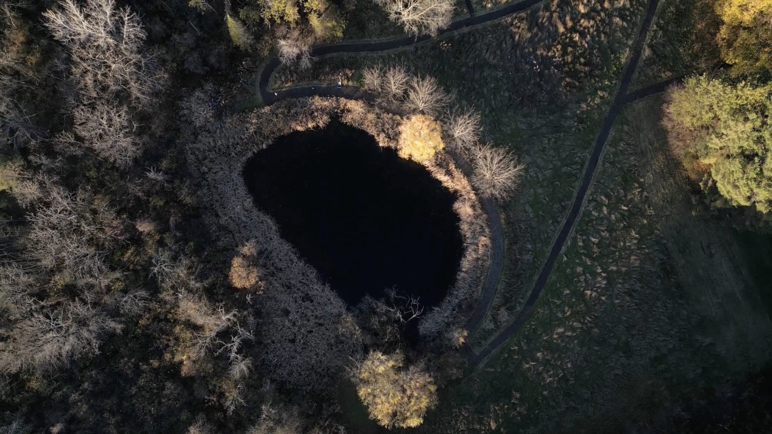 Arial view of LAND site fall 2024.