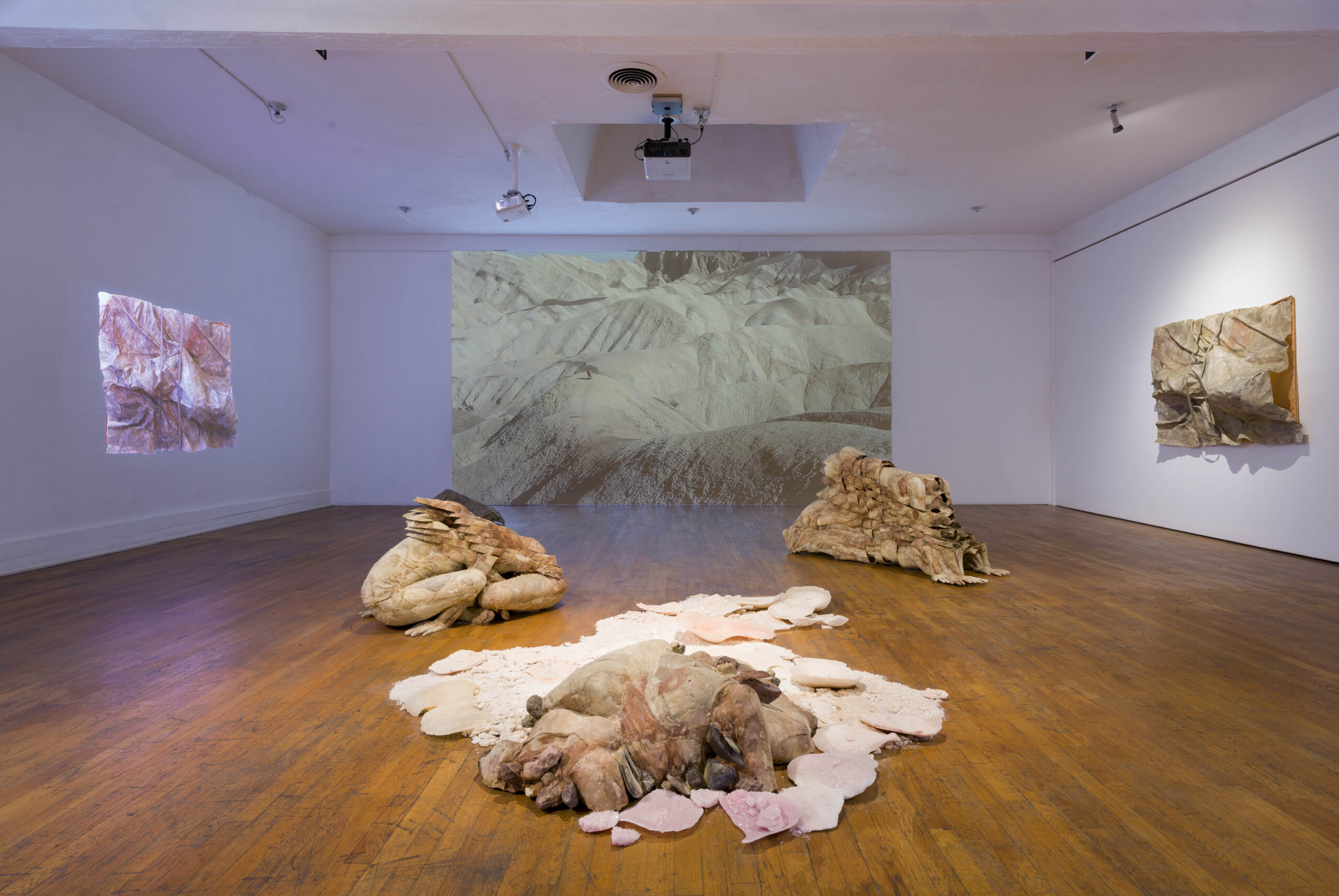 Katie Grinnan, Electric Data Wave Serenade, installation view at Commonwealth and Council, 2018. Medium: Three-channel video. Director and Editor: Katie Grinnan; Videographer: Alison O’Daniel; Photographer: Ruben Diaz