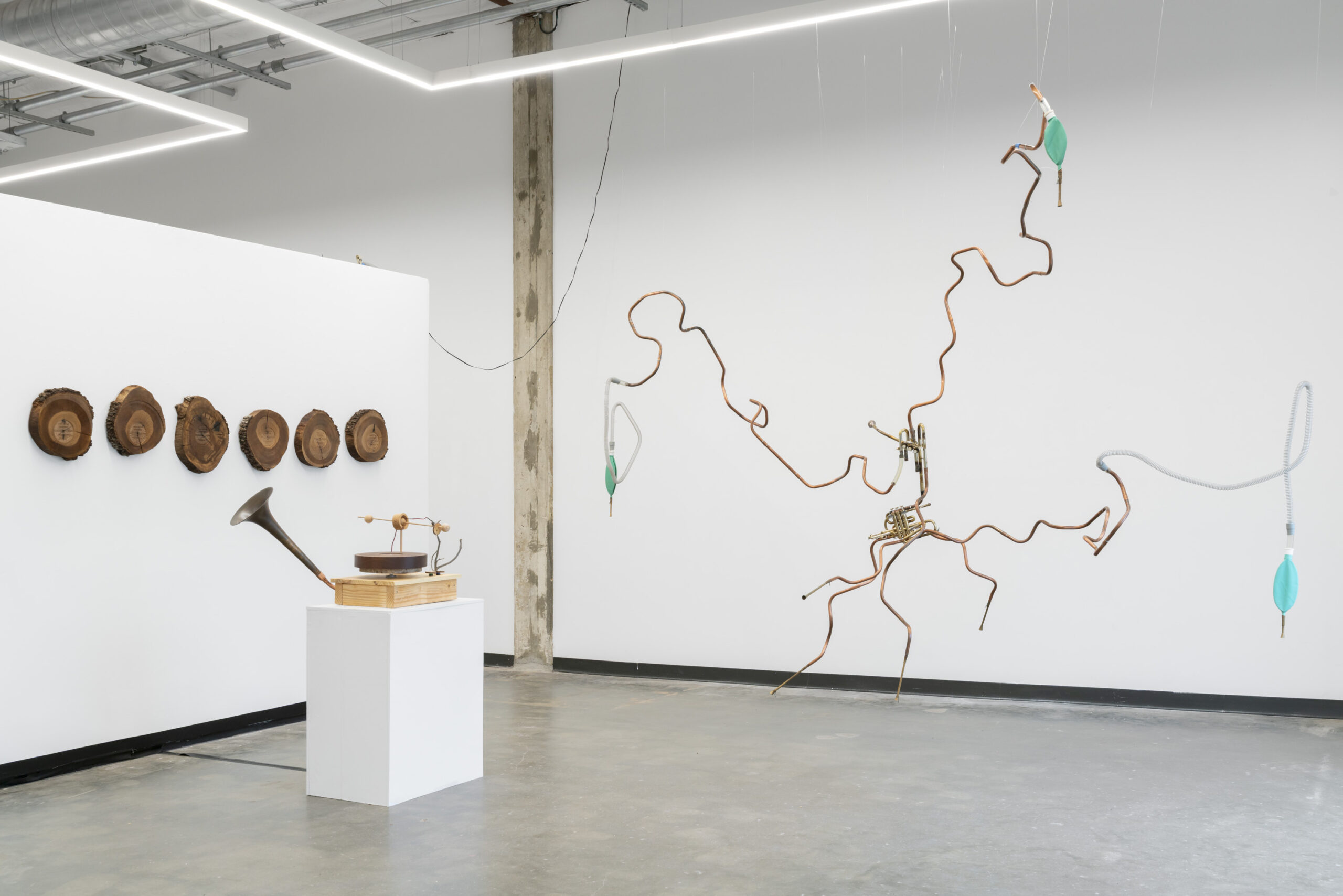 Steve Parker, Funeral for a Tree, installation view at Ivester Contemporary, 2025.
Photo: Alexander Boeschenstein. Courtesy of Ivester Contemporary.