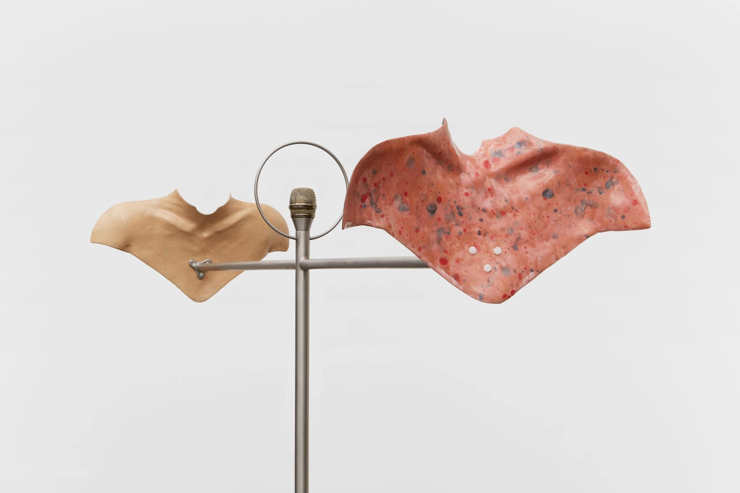 Julia Phillips, Mediator (detail), 2020, The Art Institute
of Chicago
© Julia Phillips, Courtesy Matthew Marks Gallery