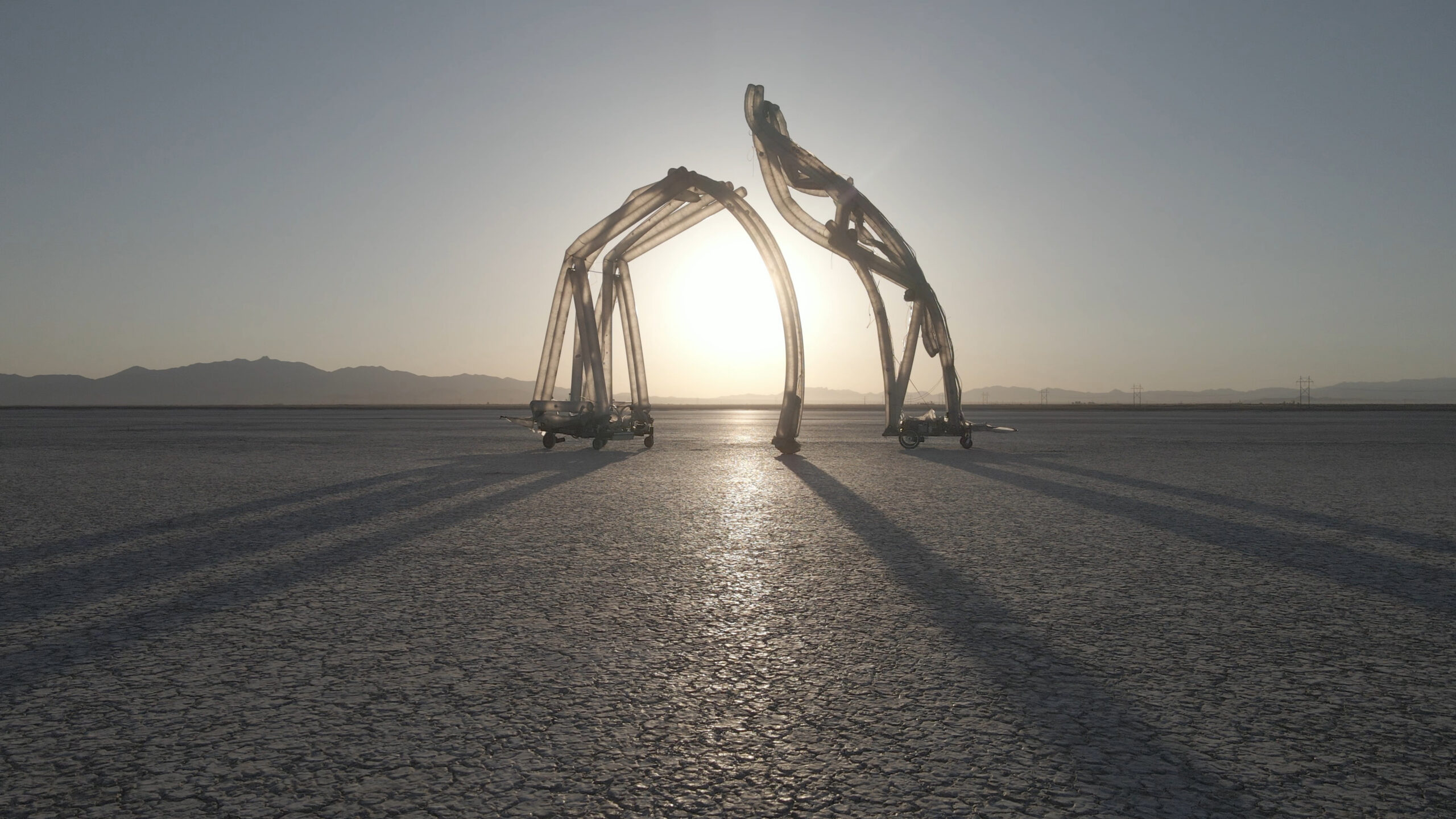 Chico MacMurtrie, Border Crossers