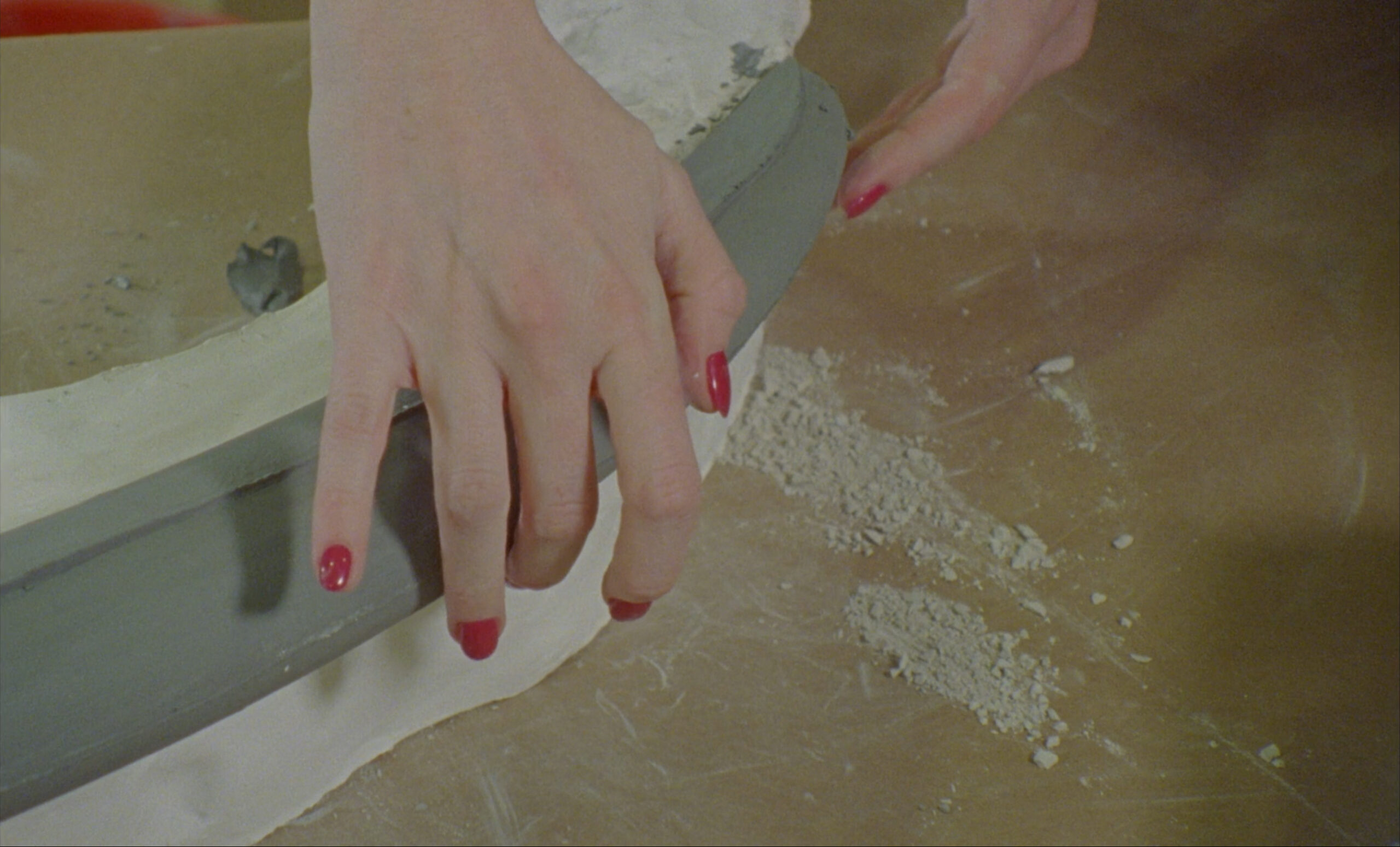 Creator/Artist: Jessica Sarah Rinland • Title: Those That, at a Distance, Resemble
Another
Year: 2019
Medium: Film
Work Type:
• Location (if applicable): Brazil/USA/UK
• Description:
Photographer Credit: Jessica Sarah Rinland