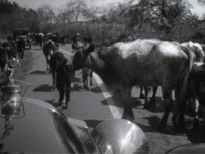Still from Rick Prelinger's "No More Road Trips?"