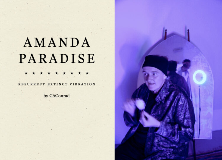 The book cover for AMANDA PARADISE, CAConrad's book.