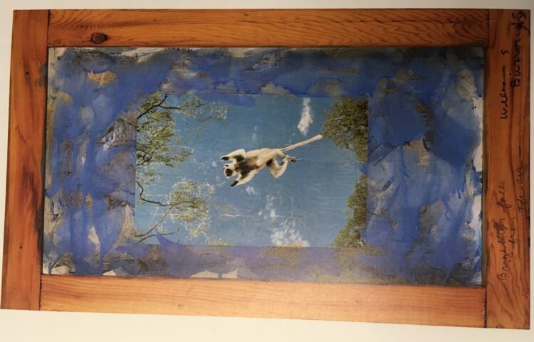 A collage by William Burrough of a lemur that Mallory had in her workspace at the Watermill Center. Image credit: Mallory Catlett.