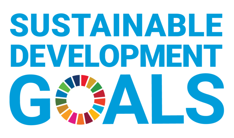 Sustainable Development Goals icon