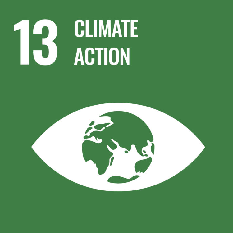 SDG Goal icon for Climate Action.